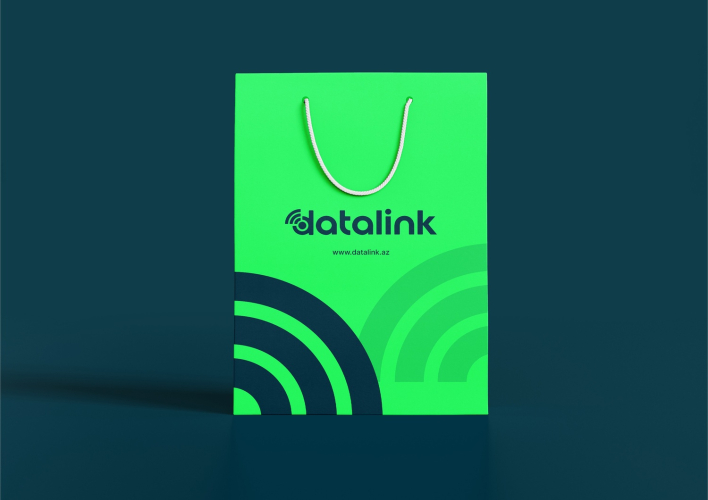 DataLink LLC